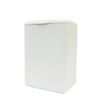 Towa Sangyo Sanitary Box PL2 Corner Pot, White