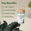 Snap Supplements Organic Spirulina and Gut Health Bundle
