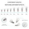 Oreola 20D Cluster Lash Extensions Mixed False Eyelash Extensions 228Pcs Lashes Cluster Natural and Wispy Reusable Eyelash Bundles 0.07D Curl 8-15mm