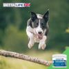 BETTALIFE® PharmaQuin Joint Complete HA 300g Canine