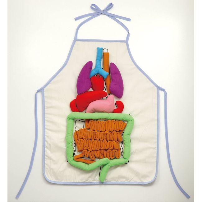 [Carokak] Removable! Internal Apron, Size Description, Educational Toy, Human Organ Apron, Apron