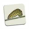 Swallowtail Caterpillar Single Premium Glossy Wooden Coaster