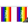 Rainbow Pace Small Bunting (10 flags) 3m
