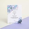 SNOW FOX SKINCARE Face Pack (5 Per Box) (Hot Stone)