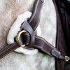 Shires Salisbury 5 Point Breastplate-Australian Nut/Brass Full