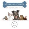 Park Life Designs Pet Bowl | Manor (Medium, Azure)