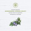 Aloe Unscented Hand & Body Lotion