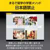 ソースネクスト｜ロゼッタストーン フランス語｜語学学習ソフト｜Win/Mac/Android/iOS対応