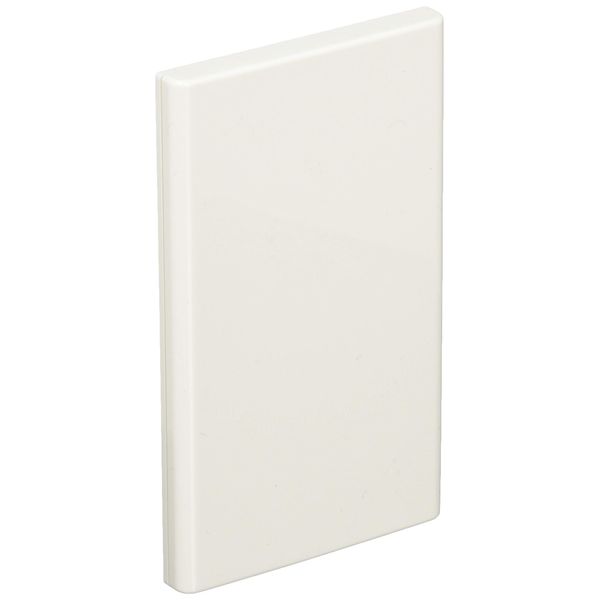 Panasonic (Panasonic) Wide Plate wt8091 W
