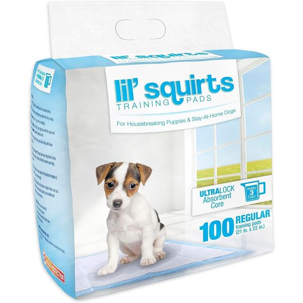 Ruffin' It: Lil' Squirts Puppy Training Pads 100 Pk., Waste Management