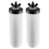 VEVOR Purification Water Filter Replacement for Gravity Filter System 2 Pack