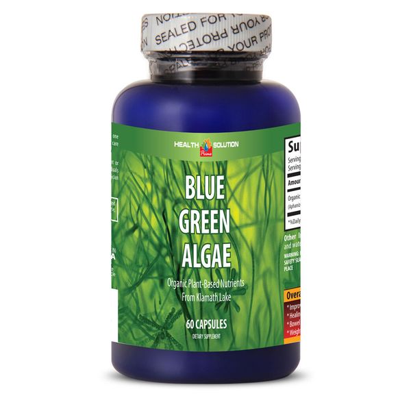 Antioxidant Supplement from Klamath Lake Blue Green Algae (1 Bottle)