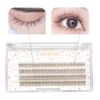 LASHIDOL Partial False Eyelashes, Mazek, Self False Eyelashes, Natural, Popular, DIY False Eyelashes, Easy, 0.4 - 0.5 inches (9 - 12 mm) (Cherry Blossom) (Fishtail Eyelashes, Brown)