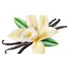 Aromatherapy Essential Oil-with Lavender & Vanilla-