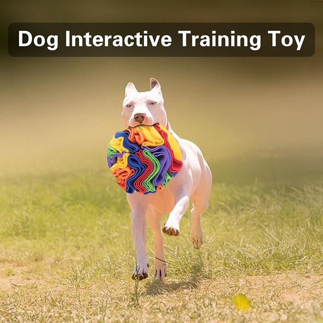 Interactive Dog Chew Toy For Training And Boredom Relief