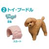 ania ania friends dog