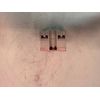 CROUZET 84137111 Solid State Relay, 50 A, 660 VAC