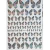 Silver & Black Half Butterfly Nail Sticker Designs Nail Trends Split Butterfly