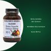 Butea Superba Extract | 30:1 Extract | 600mg | 60 Vegi-Caps | Stearate Free