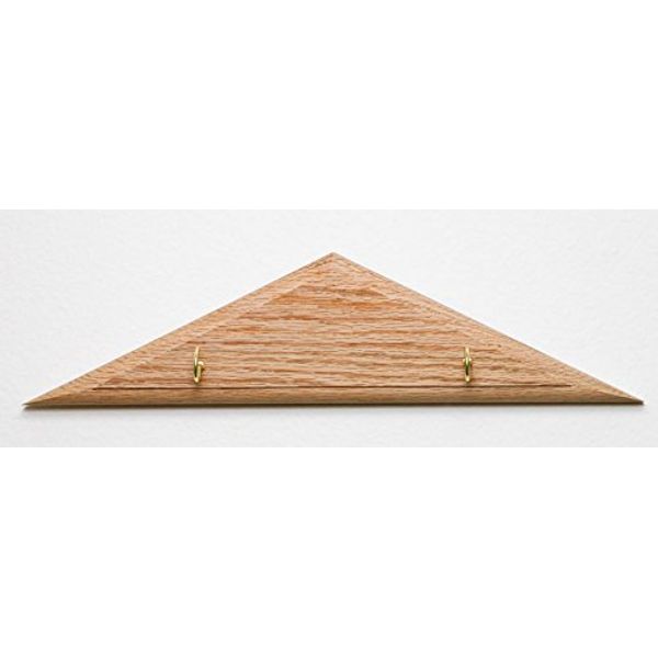 Nature-Watch Plaque for Arrow of Light Kit