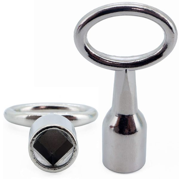 Basi 301V-10 Pin Key Silver, Multicoloured