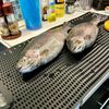 Nonslip Fish Fillet Mat with Cutting Board Extra Large 32.5"x15.7"  Rollable