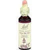 Bach Original Flower Remedies, Water Violet - Connect with Others - Natural Homeopathic Flower Essence for Emotional Balance - Vegan, Gluten Free, Sugar Free - 20mL Dropper