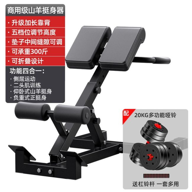 Roman Chair Core Side Abs Muscle Exercise Machine Back Extension Multifunction Professional Fitness Equipment, Folding Furniture