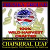 CHAPARRAL LEAF With Absolutely No Additives Wild Crafted 100 Vegetarian Capsules