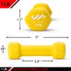 JFIT Neoprene Dumbbell Pairs, 1 LB