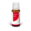 Ruta Graveolens C 30 Globuli 10g