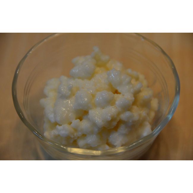 One Tablespoon Fresh ORGANIC milk LIVE KEFIR GRAINS+Instructions!