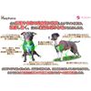 Haqihana Arnés Para Perros Alargados Multicolor S