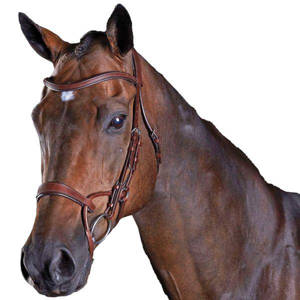 Collegiate ComFiTec Training Bridle, Brown, Full