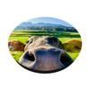 Cow Selfie Funny PopSockets Swappable PopGrip