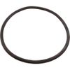 Aladdin O-Ring, Valve/Tank, Generic