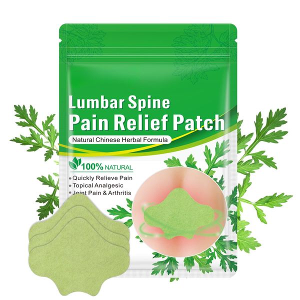 Lumbar Spine Heat Pad, 12PCS Wormwood Back Pain Relief Patch, Heat Pads for Back Pain Relief, Deep Heat Patches, Pain Relief Patches for Relieve Pain Heat Patch in Back, Knee, Neck, Shoulder