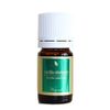Vanilla Oleorecin 0.2 fl oz (5 ml) [Essential Oil/Essential Oil]