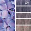 Wella Color Fresh Create 9819/8 60ml