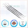 10 Pcs Oral Hygiene Kit Plaque Remover Professional Dental Picks Set for Teeth, Double & Single Ended Picks for Gum Care Cleaning Set Stainless Steel with Carrying Case
