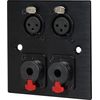 2 x Female XLR & 2 x Microphone Jack wall plate