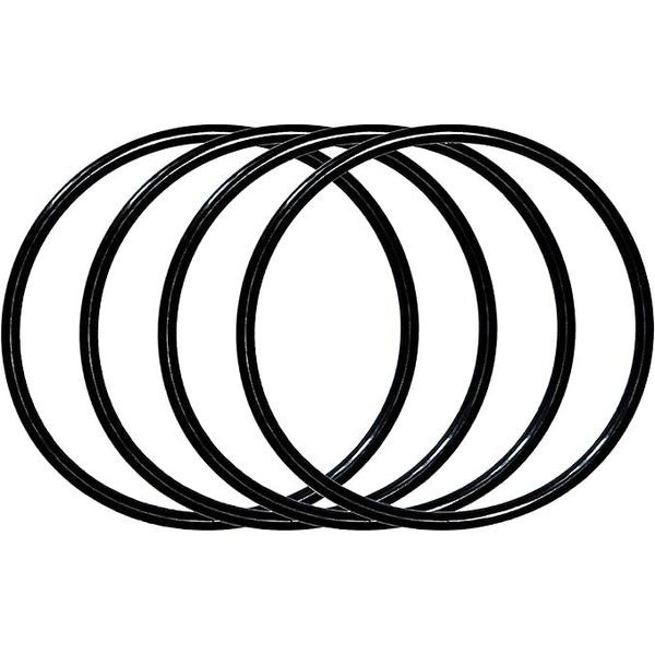 4 PC Replacement 357255 Lid O-Ring for Pentair SuperFlo Optiflow Pool/ Spa Pump