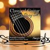 2 SETS! Adagio Pro Classical Acoustic Nylon Guitar Strings - Normal Medium Tension Multipack