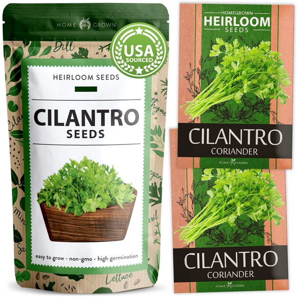 HOME GROWN 500+ Cilantro Seeds for Planting Indoors or Outdoors - Heirloom, Non-GMO Coriander Seeds, Grow Your Own Cilantro Plant - Culinary Herb Seeds for Your Herb Garden