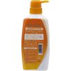 Medicated Sun Sachi EX Persimmon Shibu Body Soap, 16.9 fl oz (500 ml) (x 1)