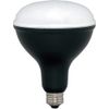 Iris Ohyama LED Work Light, Floodlight, Replacement Bulb for Floodlight, LED Bulb, Work Light, 1800lm