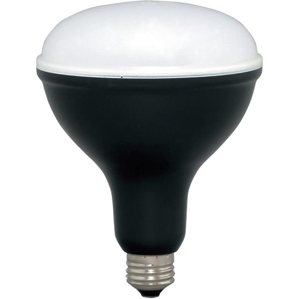 Iris Ohyama LED Work Light, Floodlight, Replacement Bulb for Floodlight, LED Bulb, Work Light, 1800lm