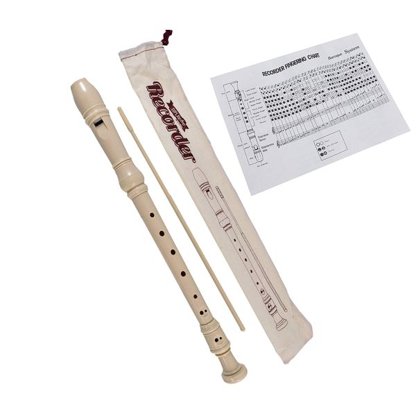 Music Recorder Retro Instrument & Cleaning Rod with Storage Bag and Instructions (1 Recorder)