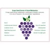 antioxidant booster - KOREAN GINSENG – GRAPE SEED EXTRACT COMBO 2B - red ginseng