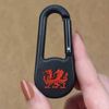 Azeeda 'Welsh Red Dragon' Compass Keyring (KC00033138)